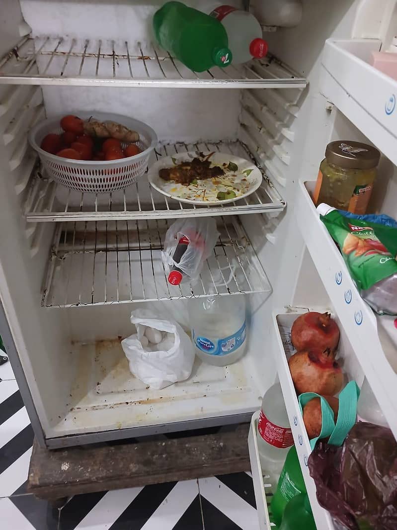 pel Refrigerator 2