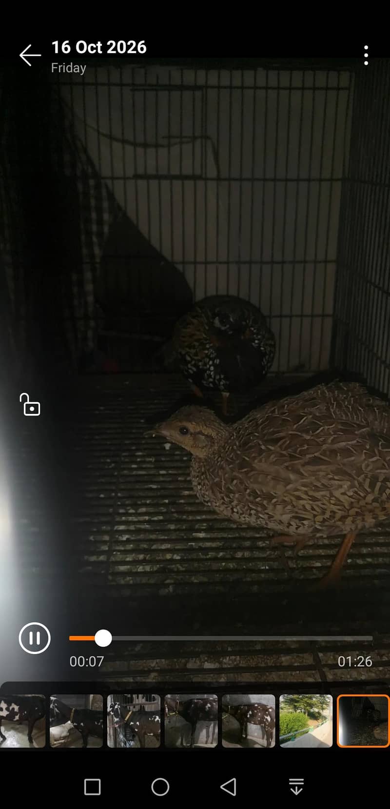 Female Available 0