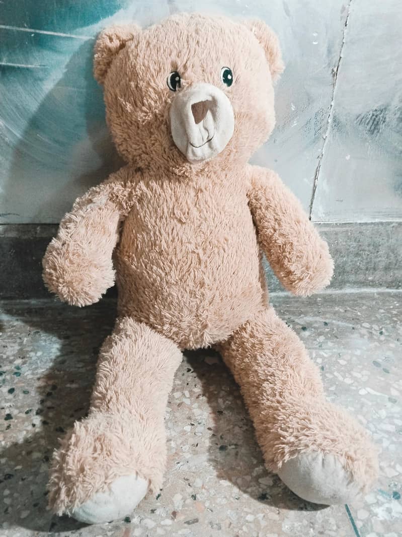 Teddy Bear 1