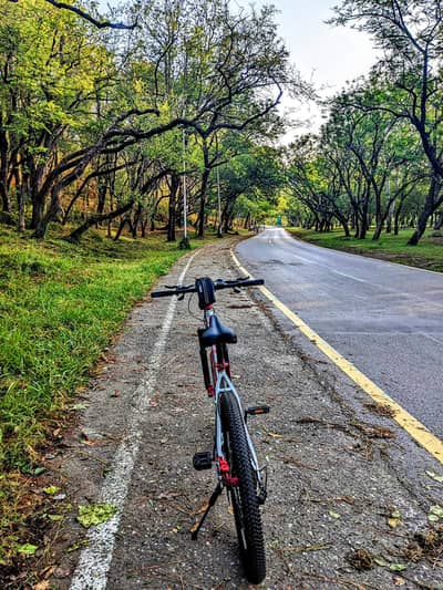 cycle for sale