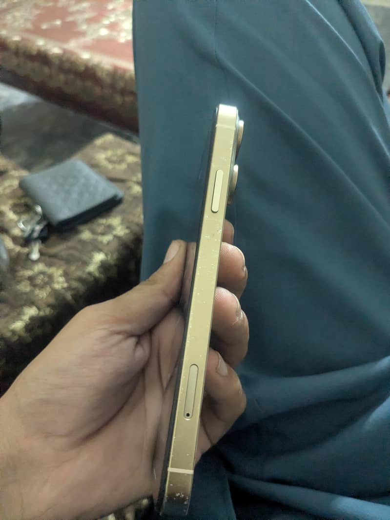 Apple iPhone XR 1