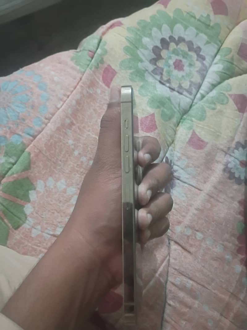 Apple iPhone 13 Pro Max 0
