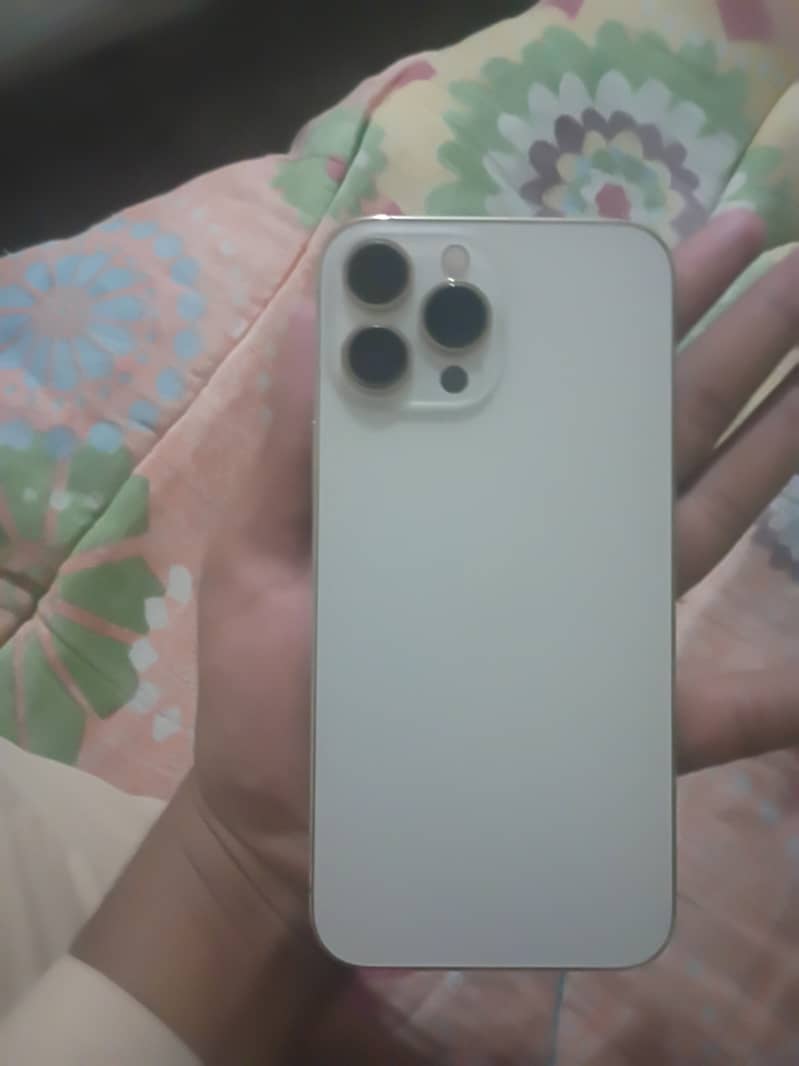 Apple iPhone 13 Pro Max 1