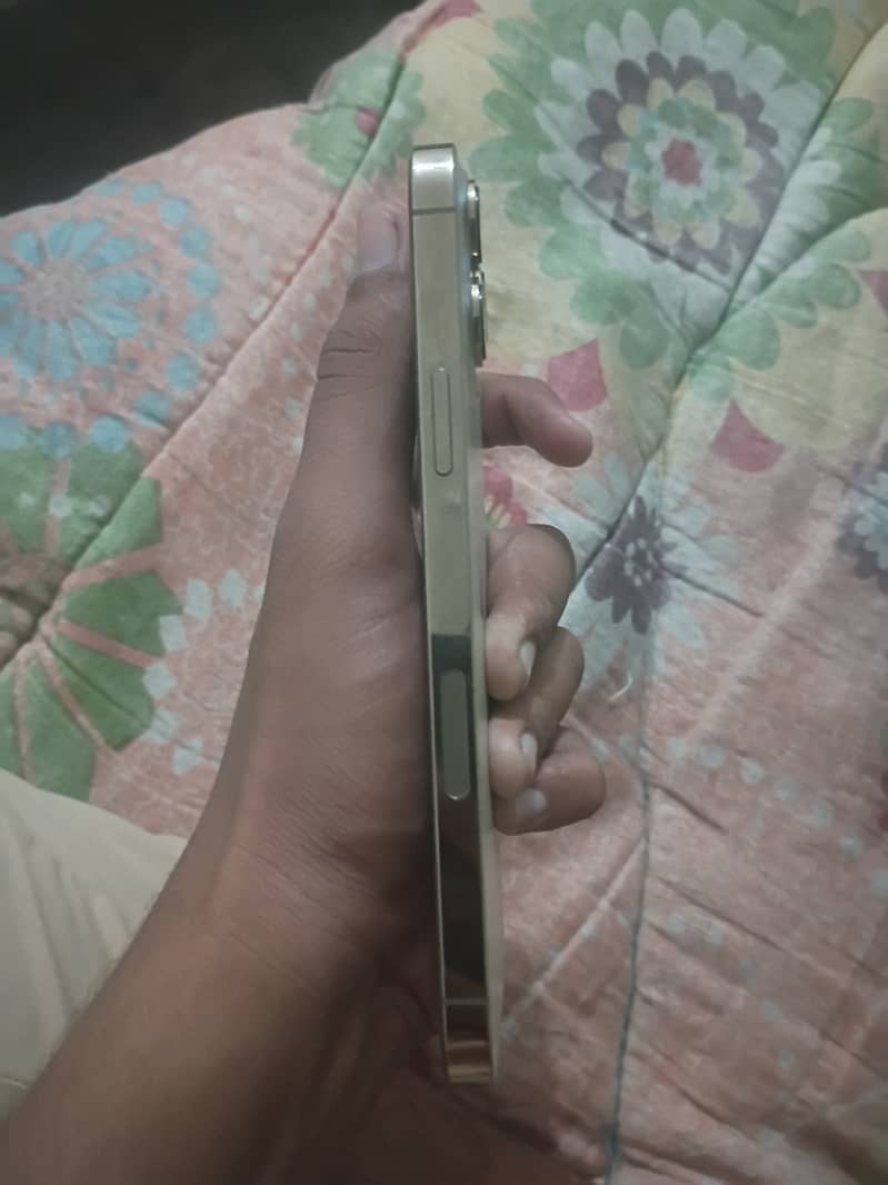 Apple iPhone 13 Pro Max 2