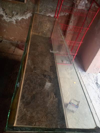 shop counter and lays stand for sale