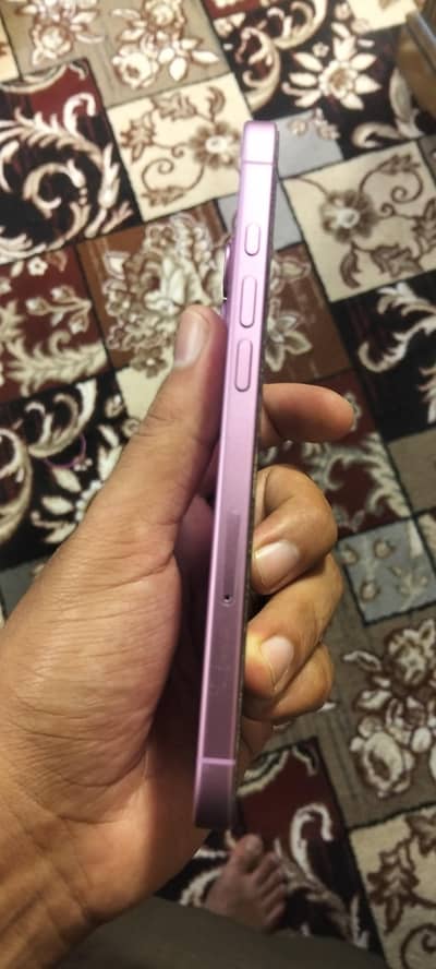 iphone 16 plus bypass pink color