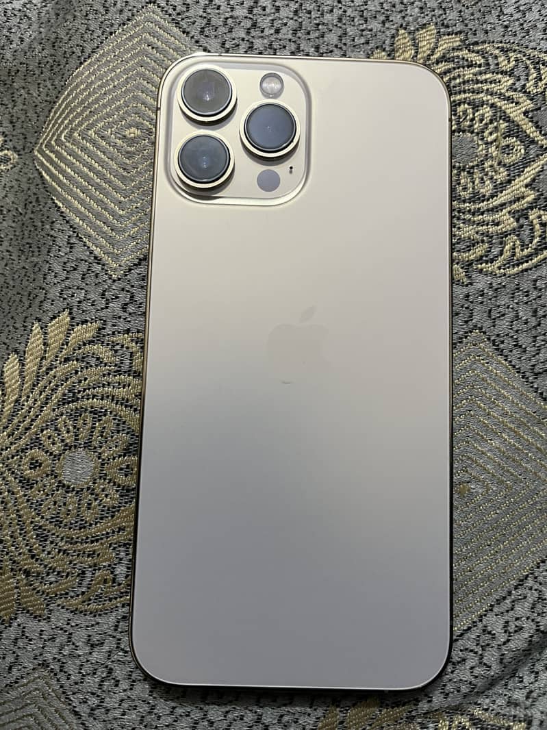 Apple iPhone 13 Pro Max 1