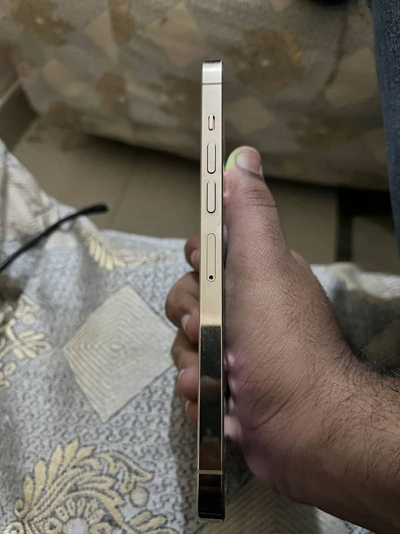 Apple iPhone 13 Pro Max 3