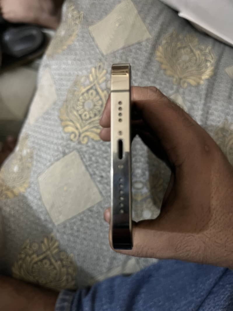 Apple iPhone 13 Pro Max 4
