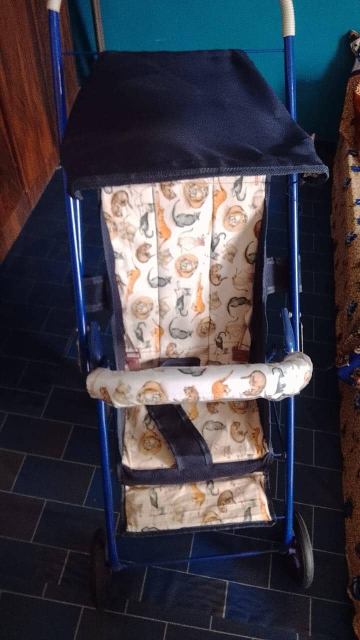 umbrella  stroller 0