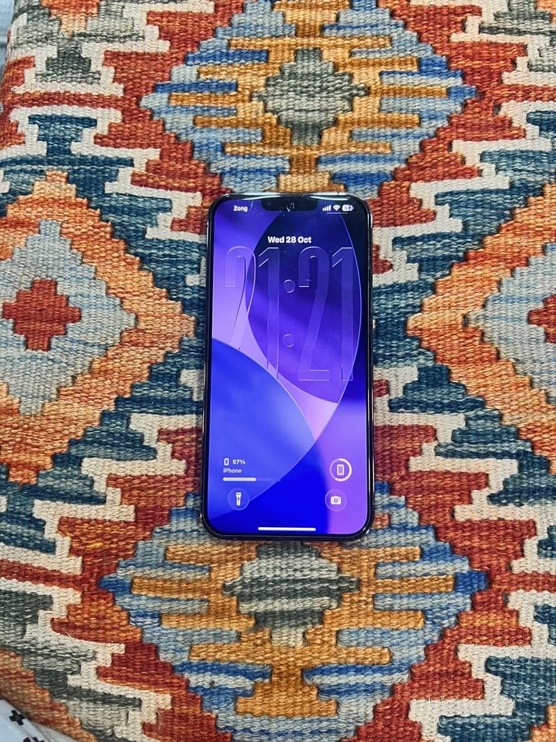iPhone 13 Pro Max 1