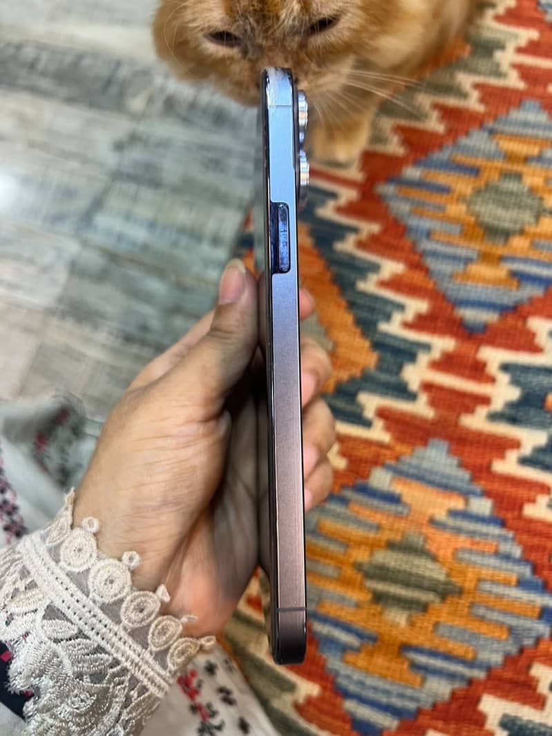 iPhone 13 Pro Max 6
