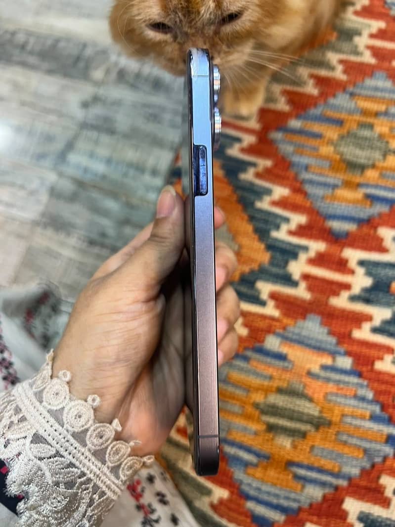 iPhone 13 Pro Max 7