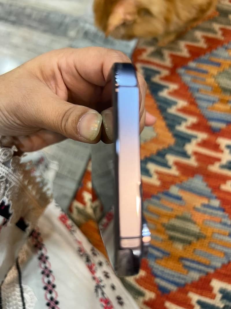 iPhone 13 Pro Max 8