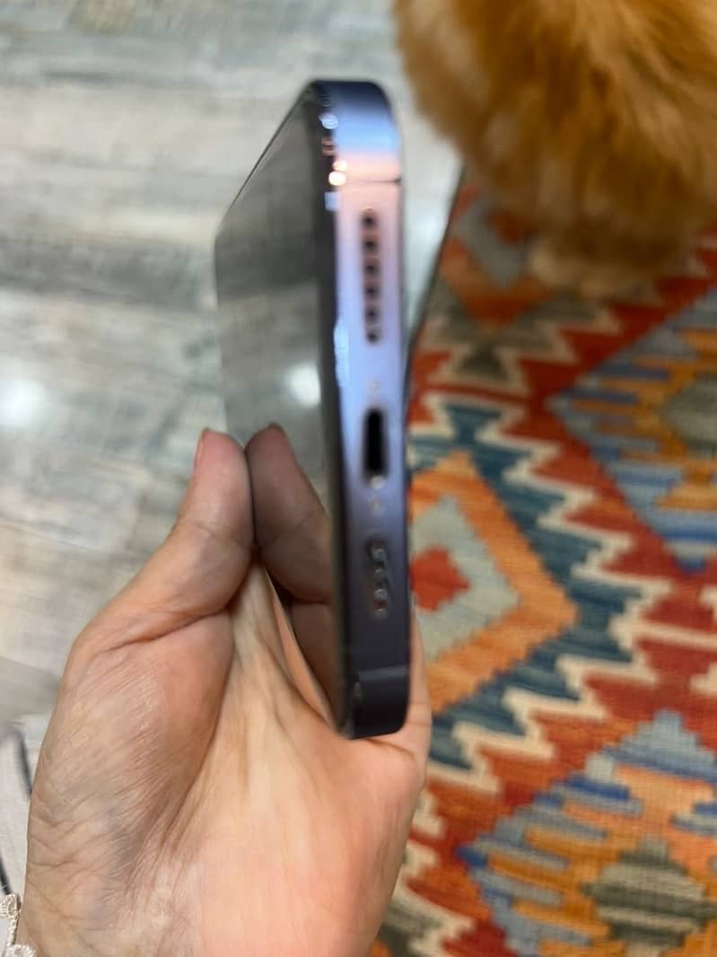 iPhone 13 Pro Max 9