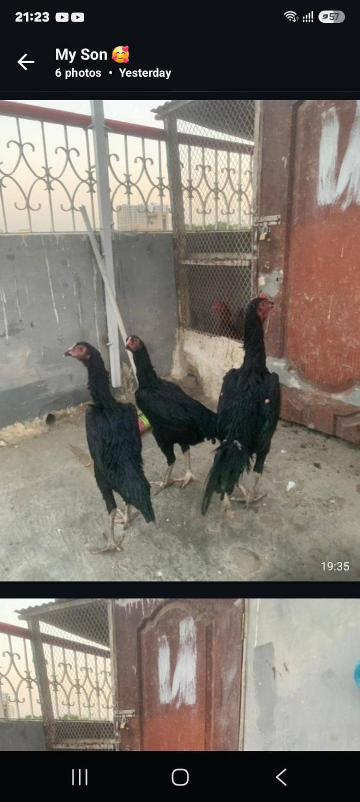 forsale 0