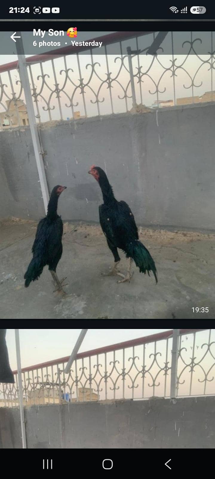 forsale 5
