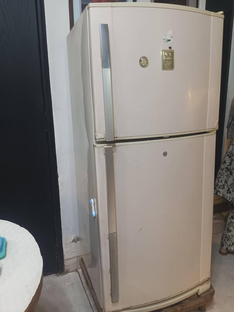 Fridge 1