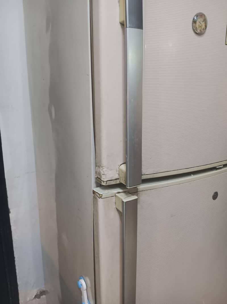 Fridge 4