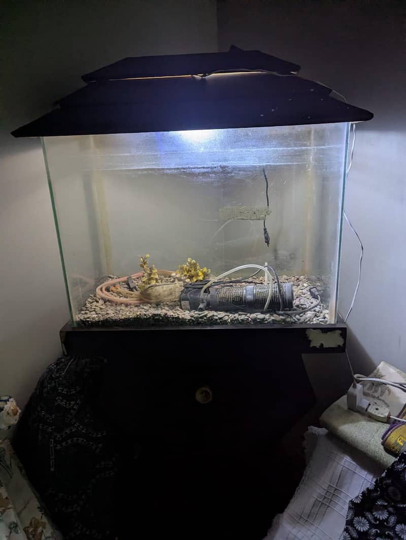 fish aquarium 1