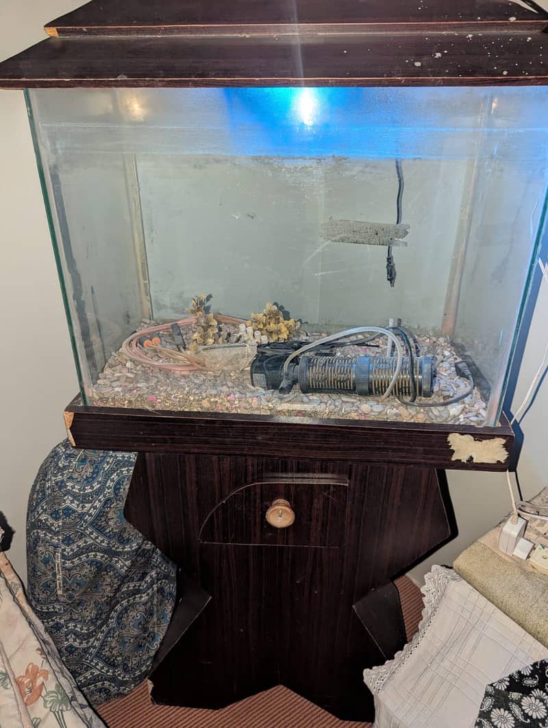 fish aquarium 2
