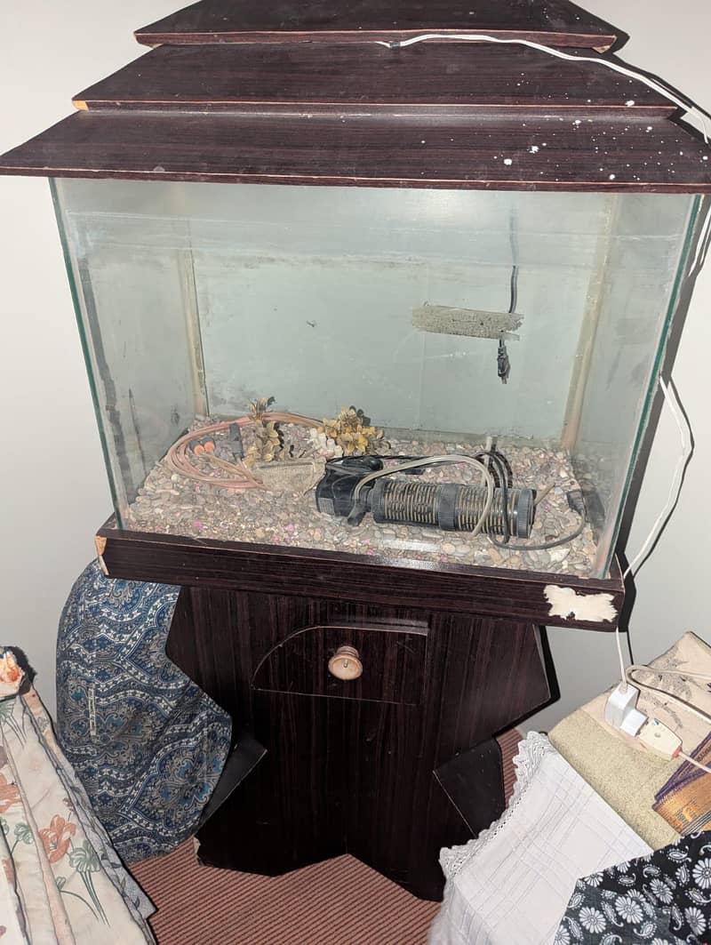 fish aquarium 3