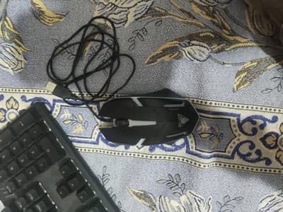 hp keyboard or mouse new model