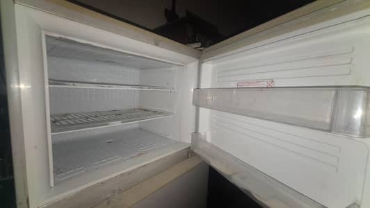 PEL Fridge double door big