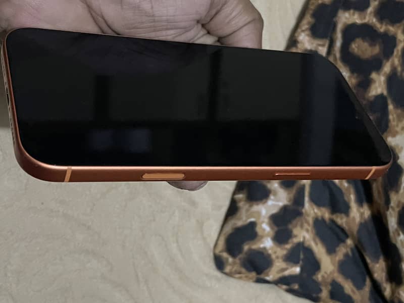 Apple iPhone 17 Pro Max 0