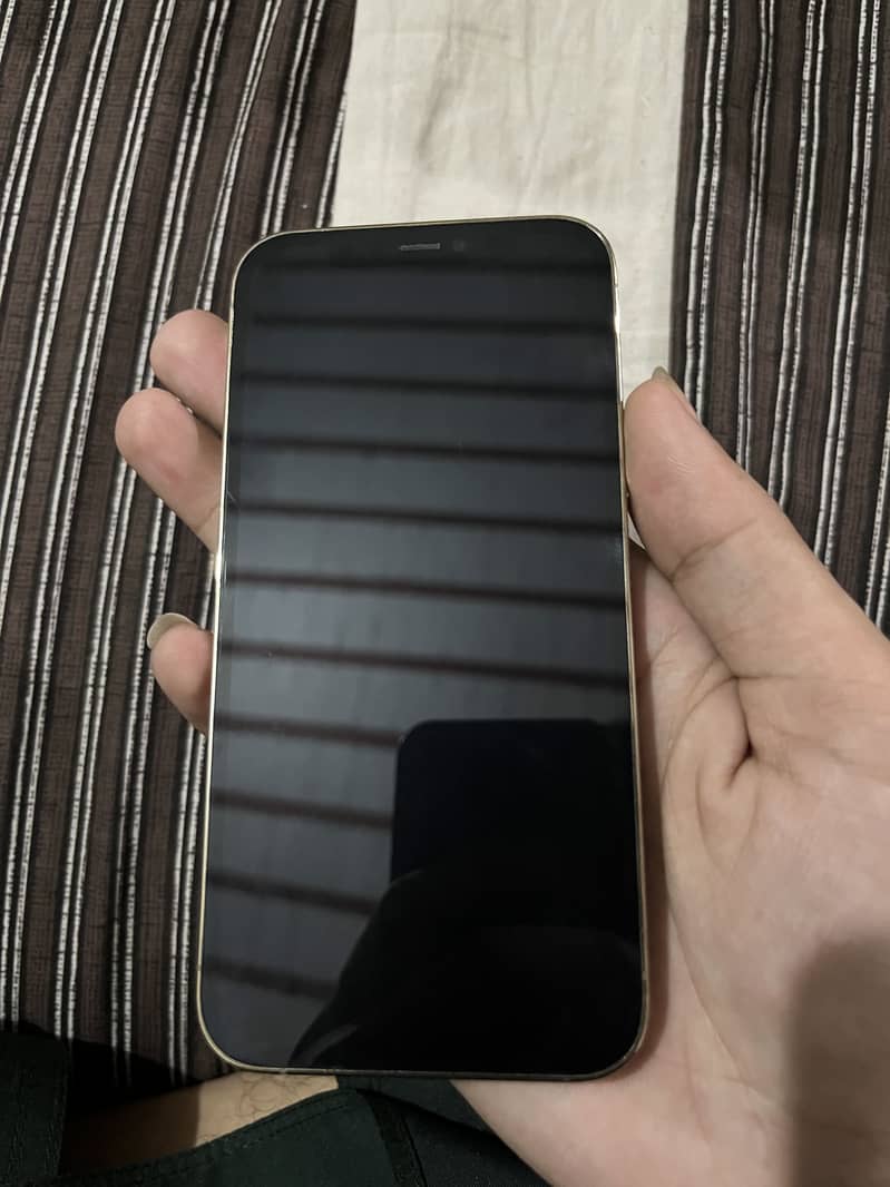 Apple iPhone 12 Pro 1
