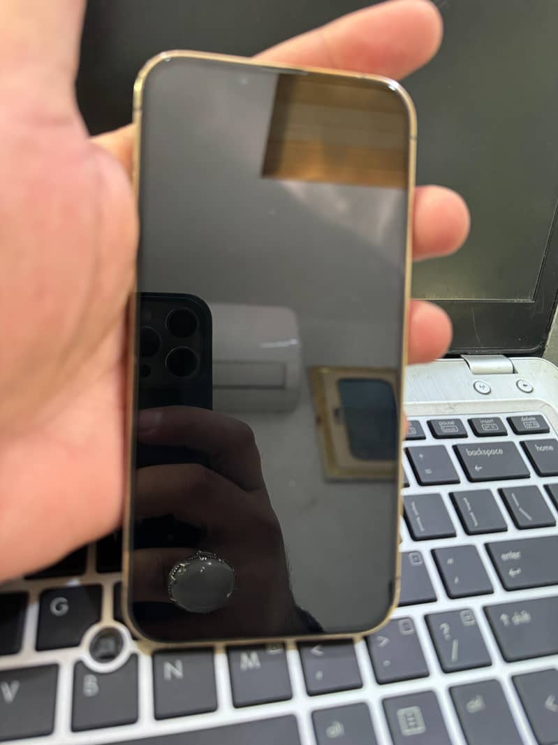 Apple iPhone 13 Pro 1