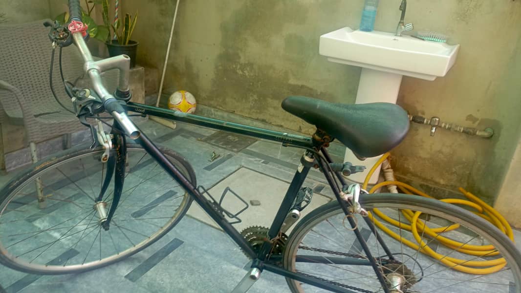 IMPORTED BICYCLES 2