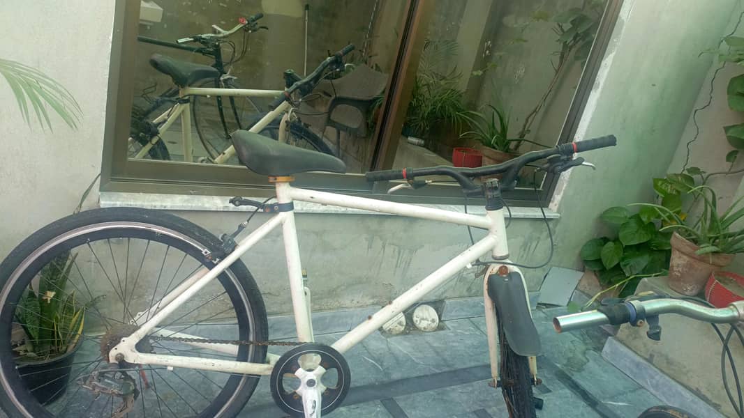 IMPORTED BICYCLES 5