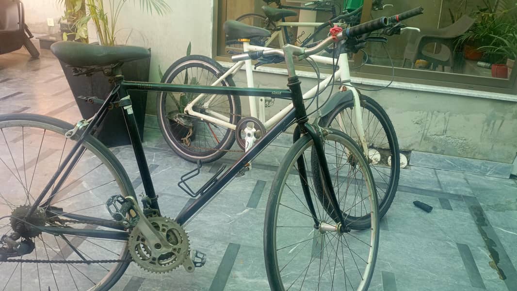 IMPORTED BICYCLES 0