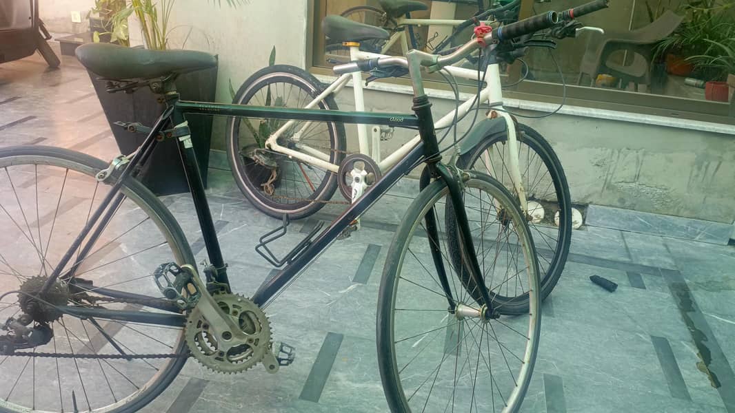 IMPORTED BICYCLES 1