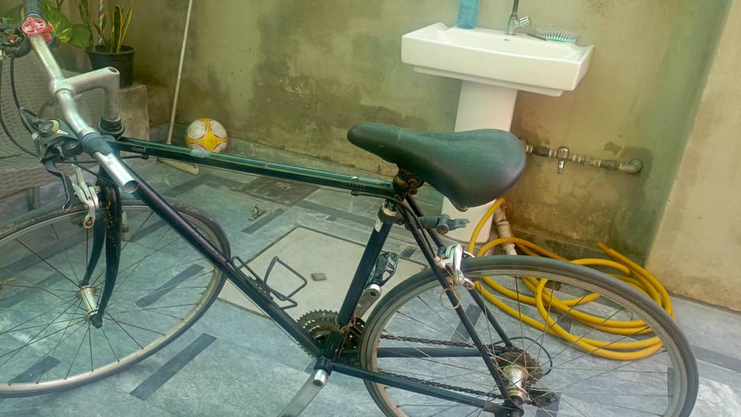 IMPORTED BICYCLES 3