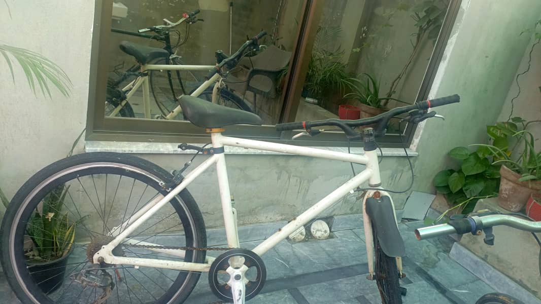 IMPORTED BICYCLES 4