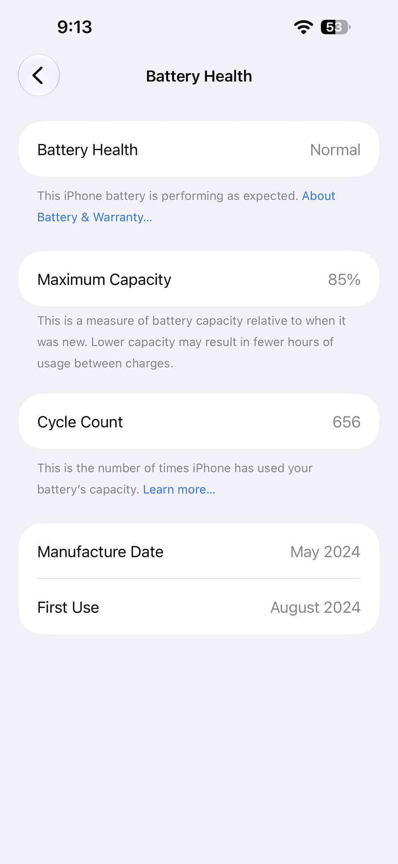 Apple iPhone 15 Pro Max 1