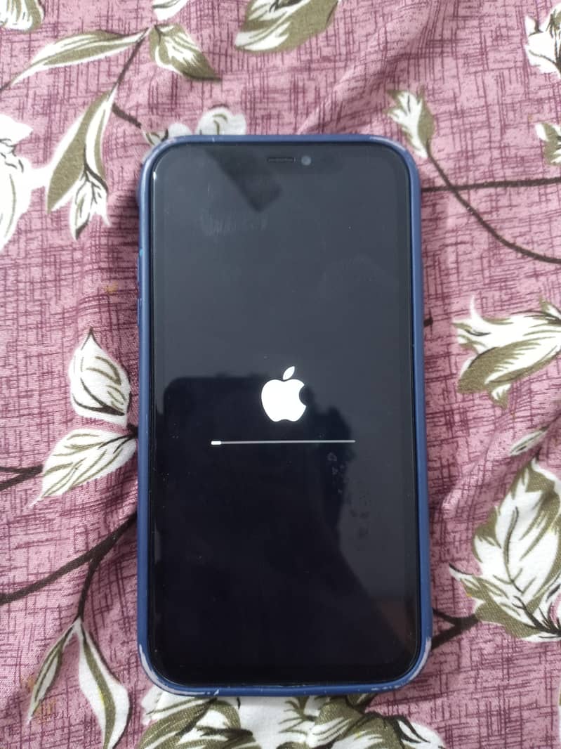 Apple iPhone 11 0