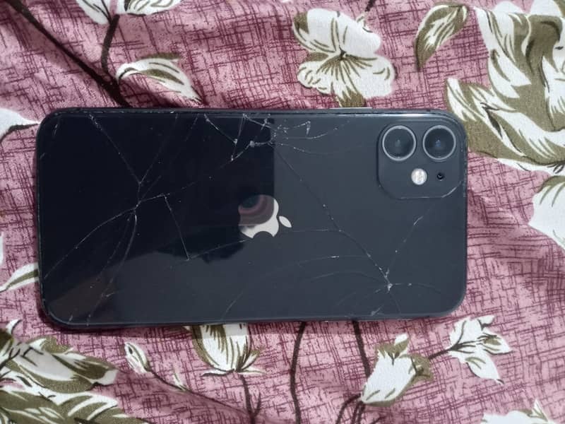 Apple iPhone 11 1