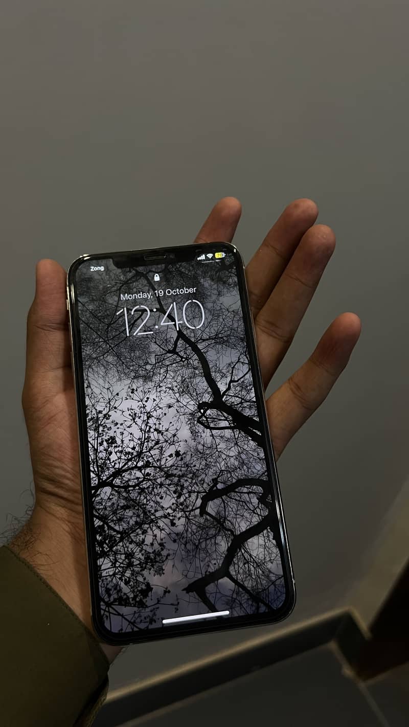 Apple iPhone XS Max 3
