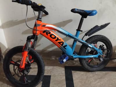 sport cycle
