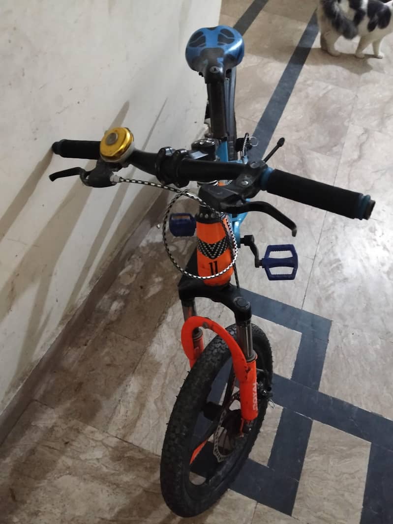sport cycle 1
