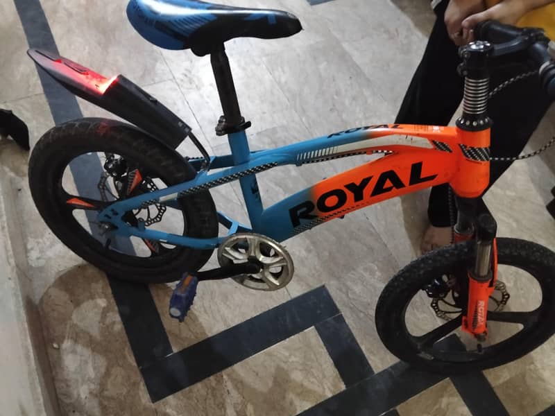 sport cycle 2