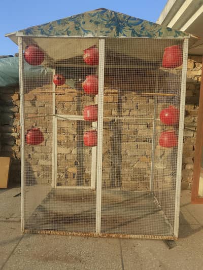 PORTION CAGES AND BIG COLONY CAGE