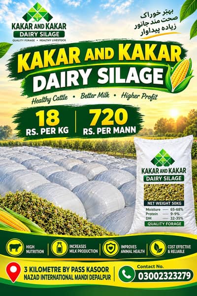 Silage for Cows and Buffaloes | Premium Quality