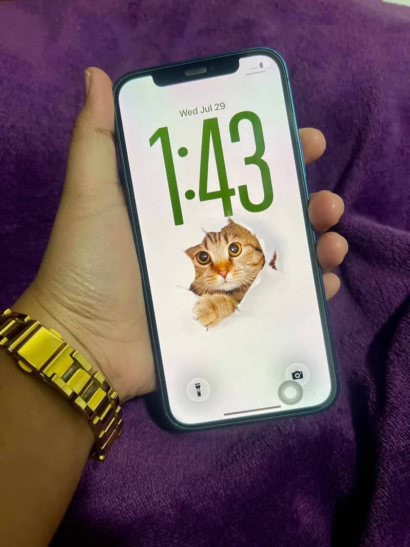 Apple iPhone 12 1