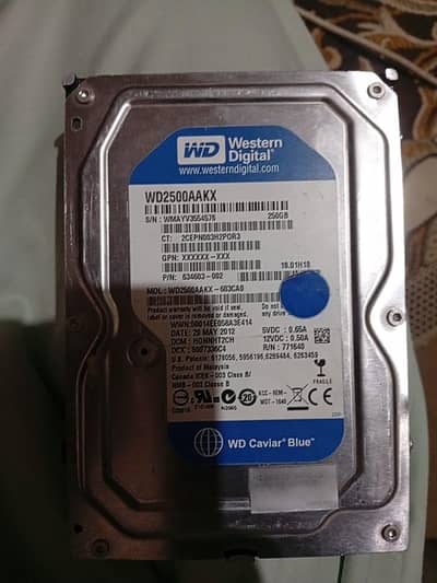 250 GB Harddisk western digital company