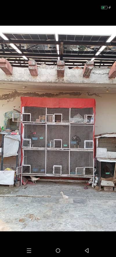 7x6 Feet 9 khanai Heavy Duty Aseel Murga Cage 2x2 Khana Pinjra