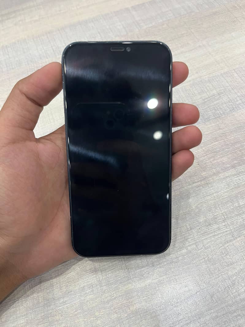 Apple iPhone 12 1